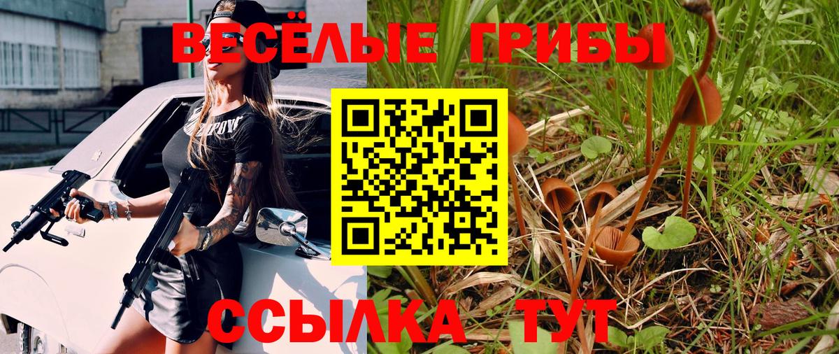 Галлюциногенные грибы MAGIC MUSHROOMS Зеленодольск