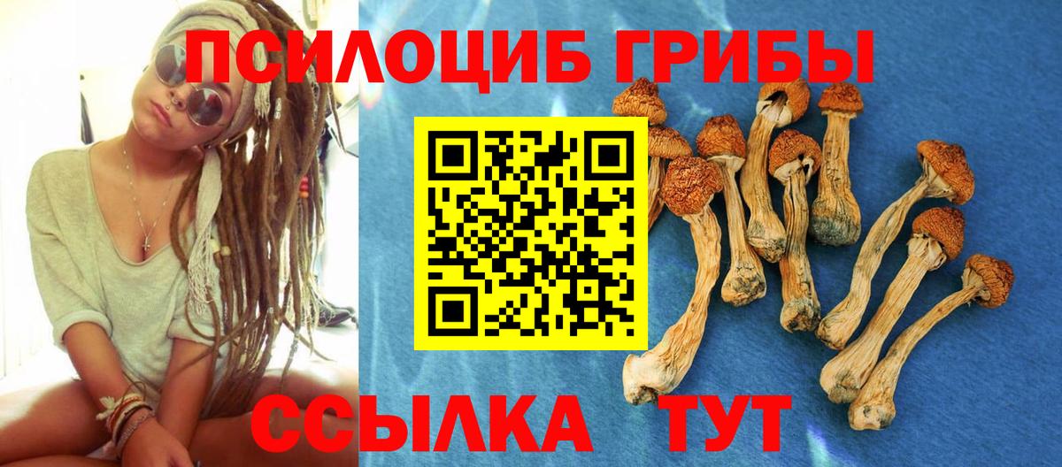 Зеленодольск  Псилоцибиновые грибы Magic Shrooms  Галлюциногенные грибы Cubensis  Вход с VPN 
